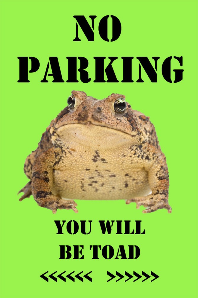 Toad SignCopy