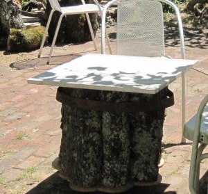 travertine tree table