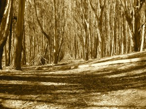 IMG_1892 - Version 2