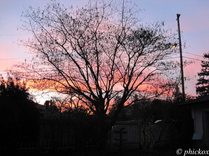 img_2290-sunset-watermarked