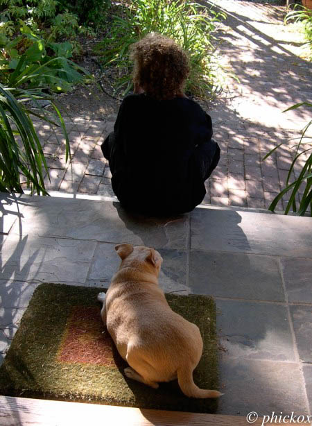 boy-and-dog5-5x7-5-for-wm-2