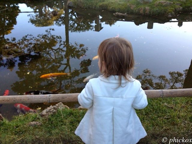 penelope-japanes-tg_114kb